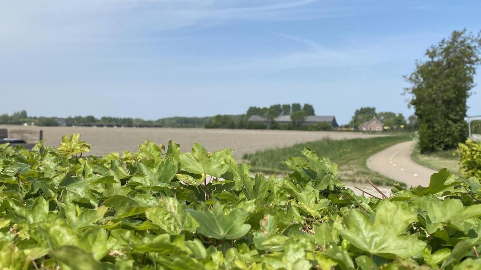 Vz833 Vakantiewoning Oostkapelle